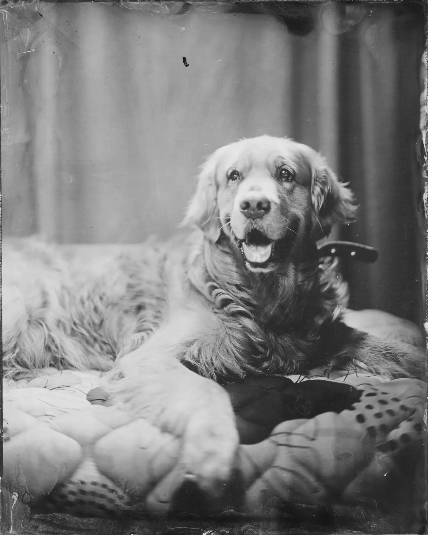 Wet plate collodion tintype portrait made in Los Angeles, plate 03